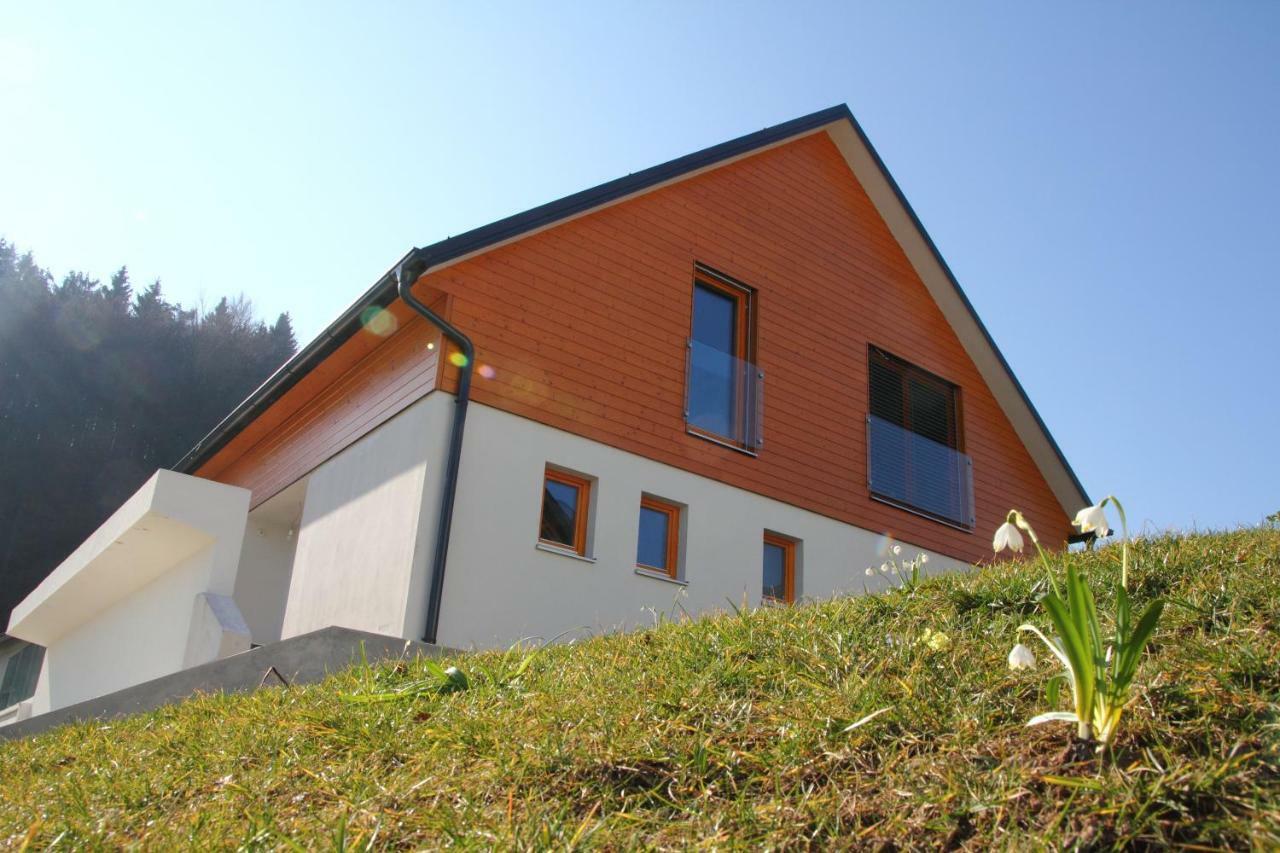 Apartments Domovoj Medvode Kültér fotó